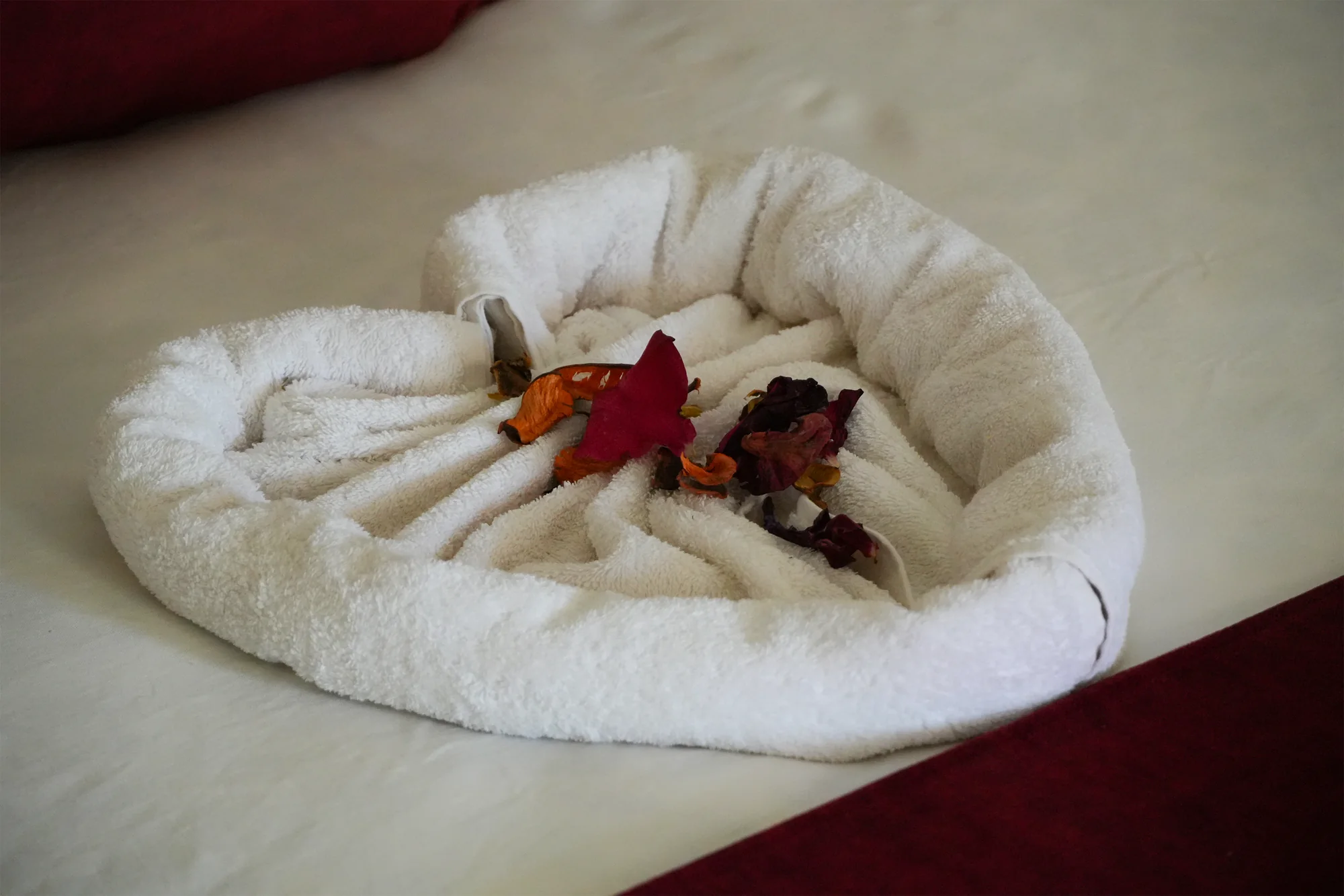Villa Jenane Rabia — Détail d'accueil